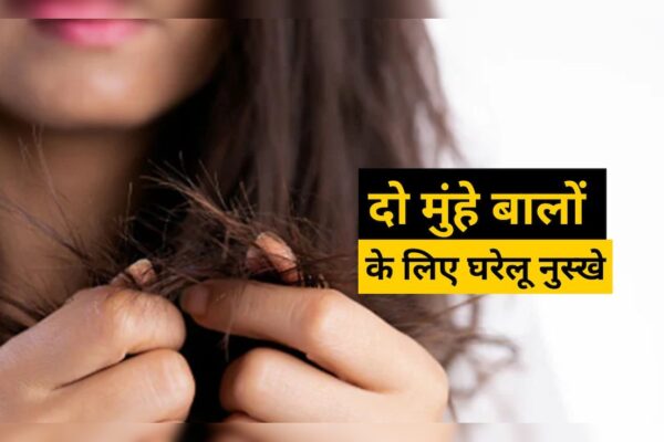 आज की खबर: Split End Hairs: दो मुंहे बालों से हैं परेशान? बेहद काम आएंगे ये 5 घरेलू नुस्खे, शाइनी भी हो जाएंगे बाल