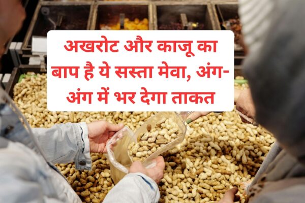 आज की खबर: काजू और अखरोट से ज्यादा ताकतवर और सस्ता है ये सूखा मेवा, 3 बड़े फायदे जानने के बाद चौंक जाएंगे आप