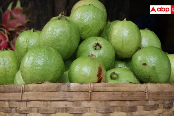 आज की खबर: अमरूद करेगा शुगर लेवल को कंट्रोल, पिंक या वाइट जानें कौन सा है बेहतर