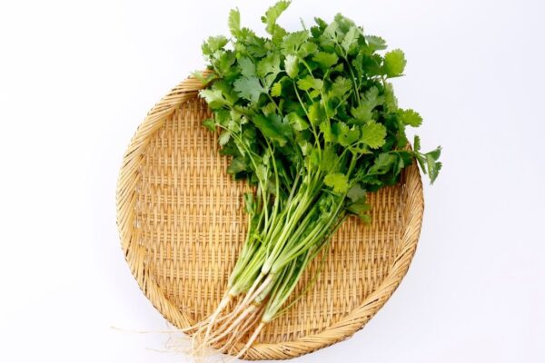 आज की खबर: इन 5 लोगों के लिए वरदान से कम नहीं है खाली पेट इस हर पत्ते का सेवन, फायदे जान आज से ही शुरू कर देंगे खाना