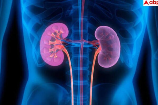 आज की खबर: Which Habits Harm Kidney Health: सुबह-सुबह की ये 5 गंदी आदतें बर्बाद कर सकती हैं आपकी किडनी, जिंदगीभर याद रखना सीनियर यूरोलॉजिस्ट की यह सलाह