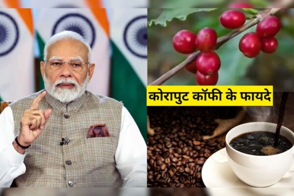 आज की खबर: मन की बात में पीएम नरेंद्र मोदी ने की Koraput Coffee की तारीफ, कोरापुट कॉफी की विशेषता क्या है? जानें यहां