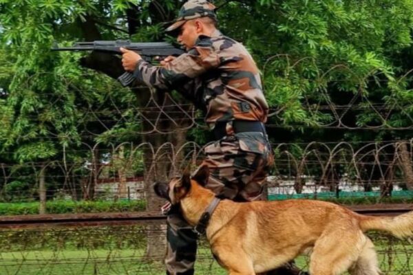 आज की खबर: इंडियन आर्मी में कैसे भर्ती होते हैं कुत्ते, जानें कितनी मिलती है सैलरी और कब होते हैं रिटायर
