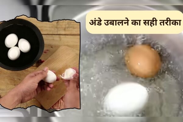 आज की खबर: अंडे को उबालने के बाद जल्दी छीलने के लिए क्या करना चाहिए? फ्रीज में रखे नींबू का एक टुकड़ा करेगा कमाल, आप भी जरूर करें 1 बार ट्राई