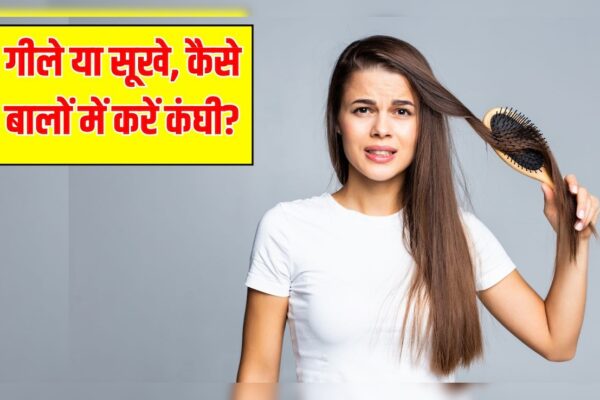 आज की खबर: क्या गीले होने पर बालों में कंघी करना ठीक है? Hair Expert से जानें गीले या सूखे, बालों में कंघी कब करनी चाहिए