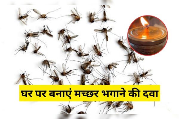 आज की खबर: चायपत्ती के साथ ये 4 चीजें मिलाकर बना लें मच्छर भगाने की रामबाण दवा, जलाते ही घर में लग जाएगा मच्छरों का ढेर