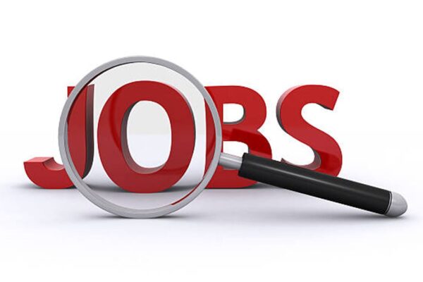 आज की खबर: Bank Jobs 2025: यूको बैंक में अप्रेंटिस पदों पर वैकेंसी, 532 पदों के लिए जल्द करें अप्लाई